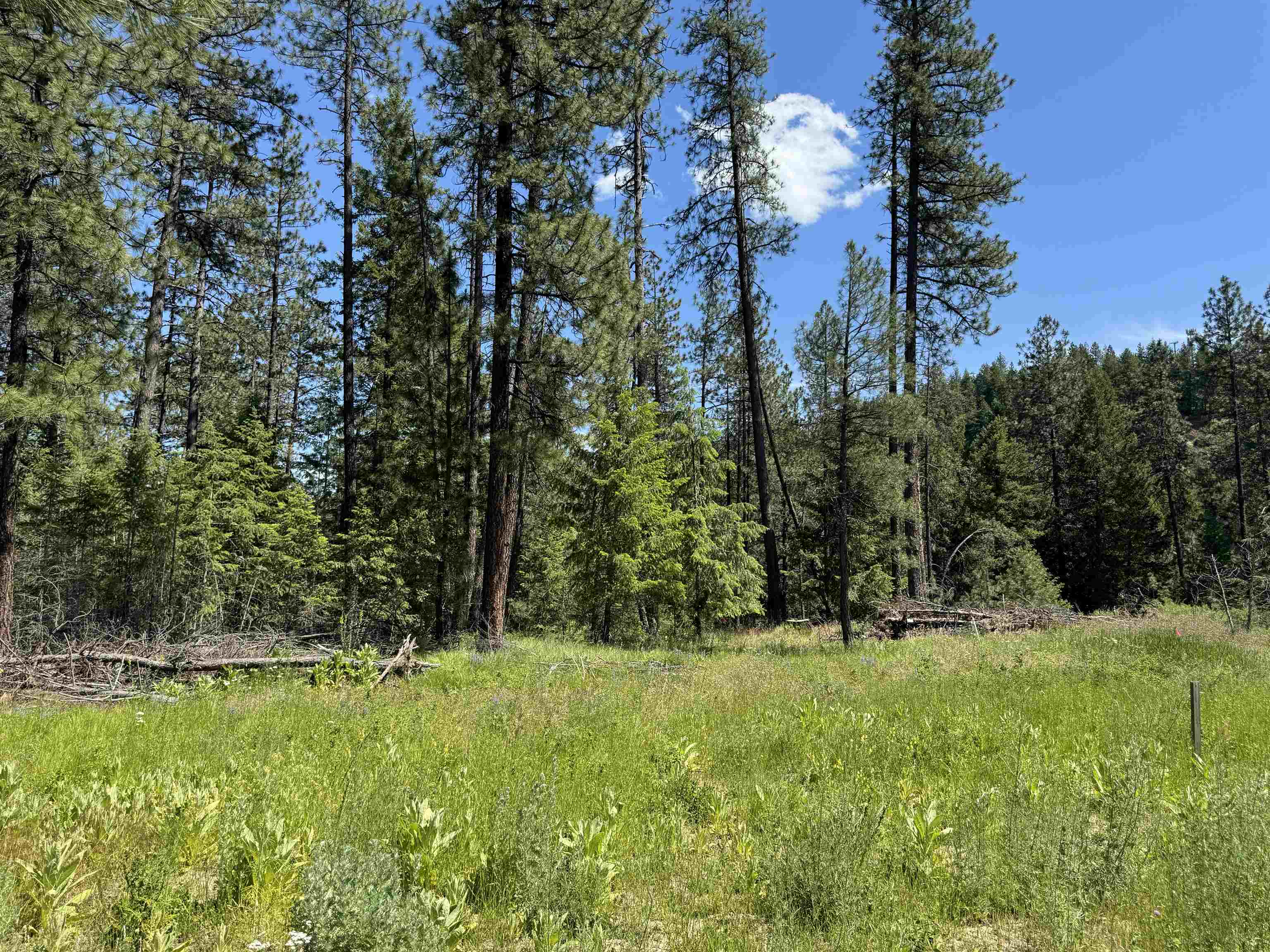 510 North A Street, Unit LOT #6 Springdale, WA 99173 - Photo 2 of 13