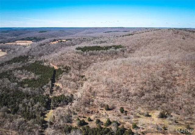 $392,000 | 0 Highway Y Courtois Mo 65565, Potosi, MO 63664