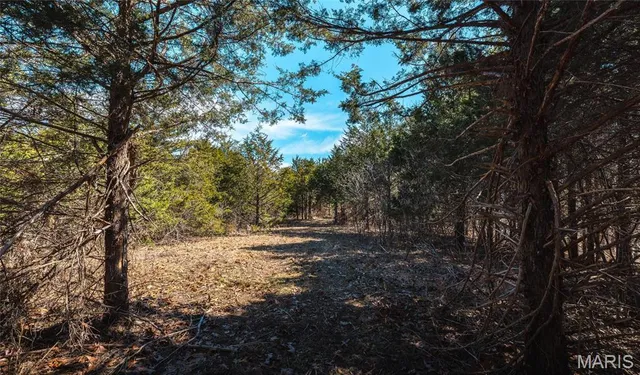 $392,000 | 0 Highway Y Courtois Mo 65565, Potosi, MO 63664