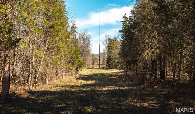 $392,000 | 0 Highway Y Courtois Mo 65565, Potosi, MO 63664