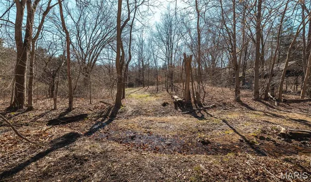 $392,000 | 0 Highway Y Courtois Mo 65565, Potosi, MO 63664