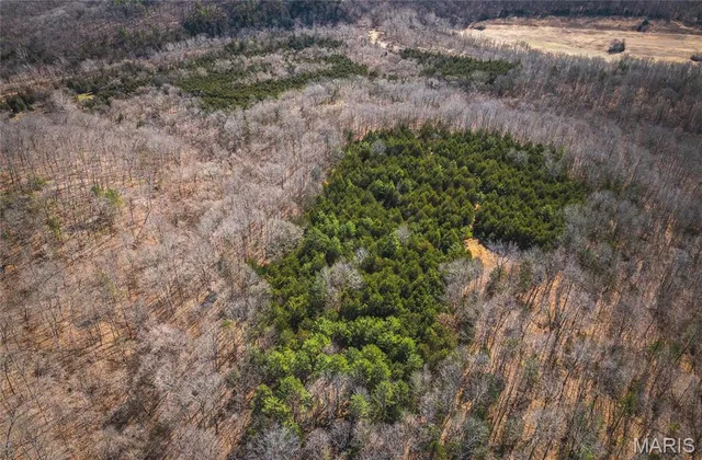 $392,000 | 0 Highway Y Courtois Mo 65565, Potosi, MO 63664