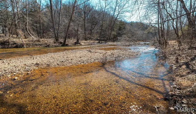 $392,000 | 0 Highway Y Courtois Mo 65565, Potosi, MO 63664