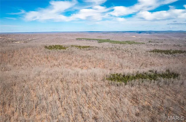 $392,000 | 0 Highway Y Courtois Mo 65565, Potosi, MO 63664