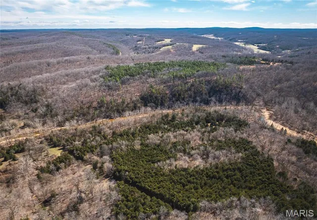 $392,000 | 0 Highway Y Courtois Mo 65565, Potosi, MO 63664