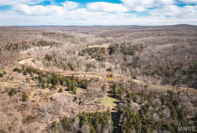 $392,000 | 0 Highway Y Courtois Mo 65565, Potosi, MO 63664