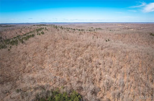 $392,000 | 0 Highway Y Courtois Mo 65565, Potosi, MO 63664