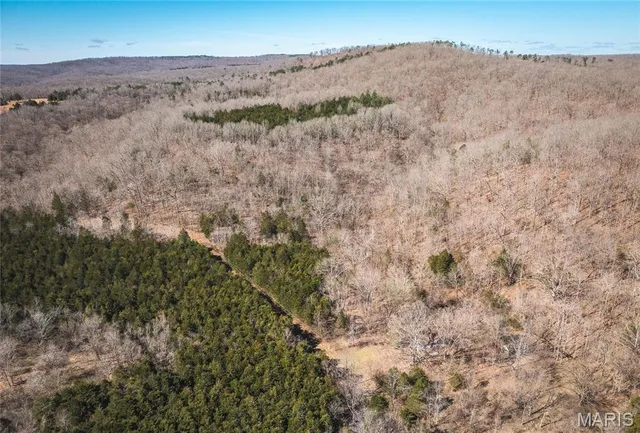 $392,000 | 0 Highway Y Courtois Mo 65565, Potosi, MO 63664