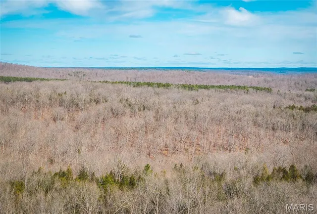 $392,000 | 0 Highway Y Courtois Mo 65565, Potosi, MO 63664