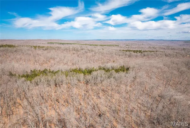 $392,000 | 0 Highway Y Courtois Mo 65565, Potosi, MO 63664