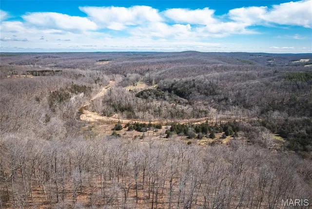 $392,000 | 0 Highway Y Courtois Mo 65565, Potosi, MO 63664