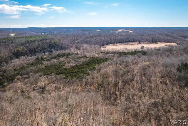 $392,000 | 0 Highway Y Courtois Mo 65565, Potosi, MO 63664