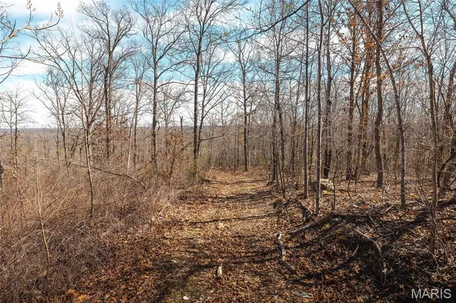 $392,000 | 0 Highway Y Courtois Mo 65565, Potosi, MO 63664