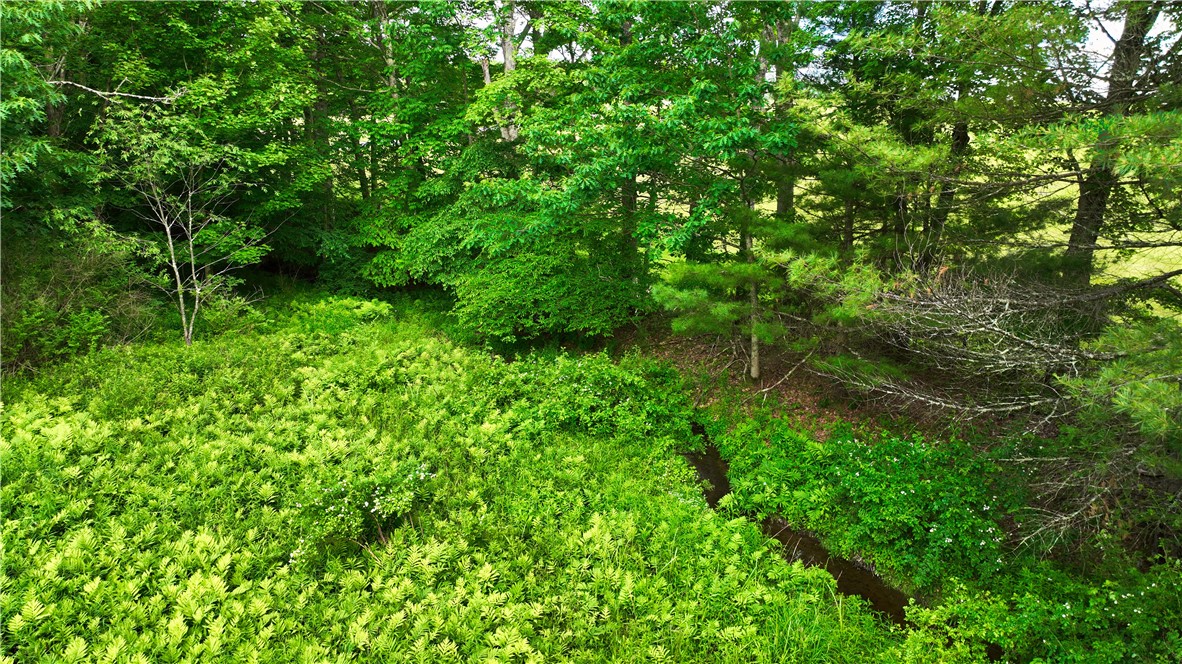 Case Road Bainbridge, NY 13733 - Photo 13 of 13