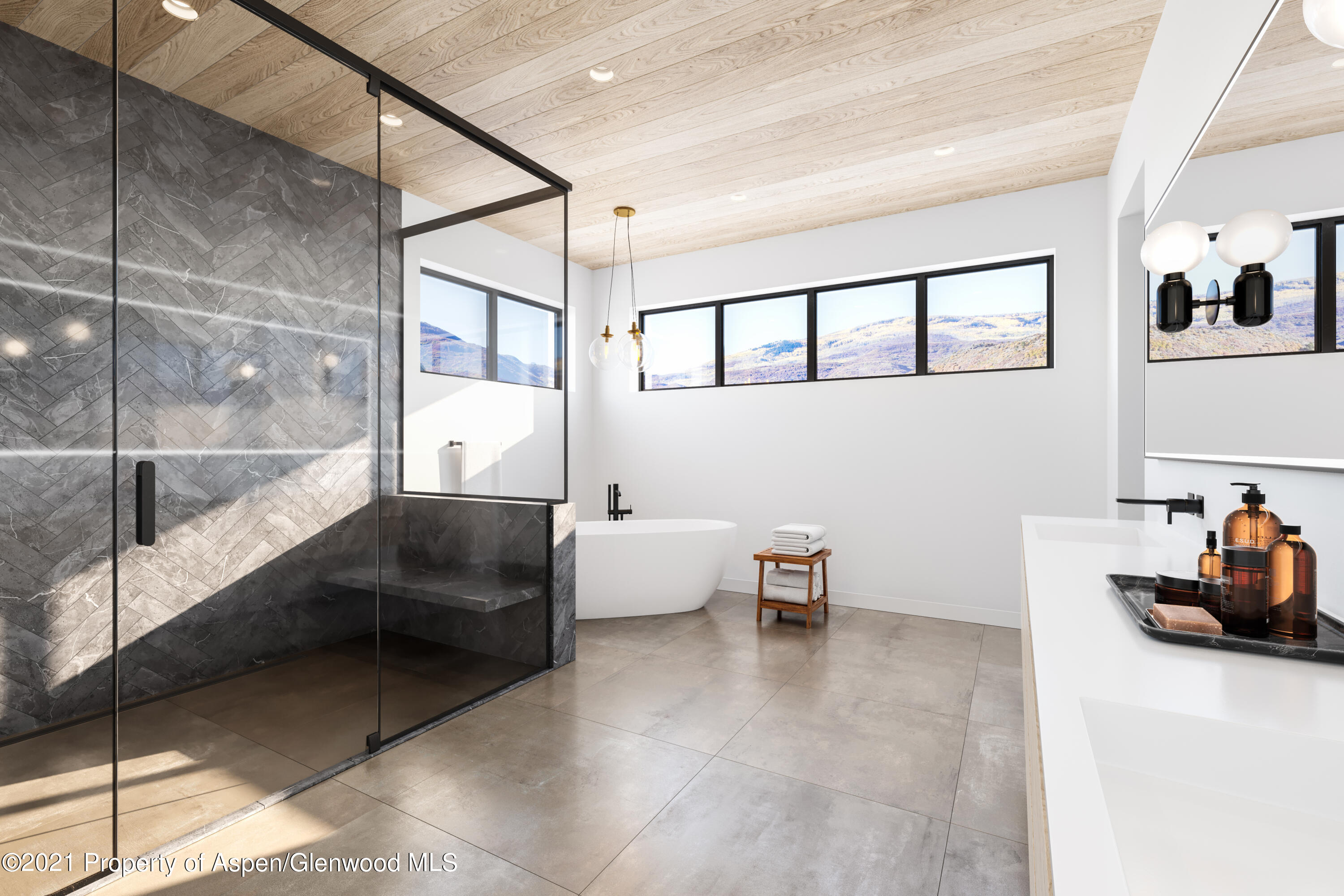 902-904 West Sopris Creek Road Basalt, CO 81621 - Photo 15 of 19 Rendering 7