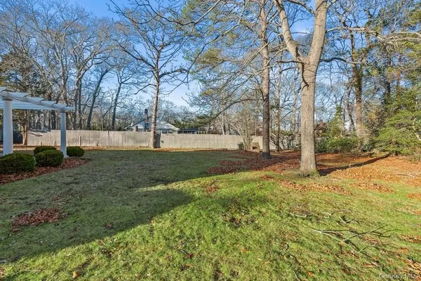 a view of yard with tree
