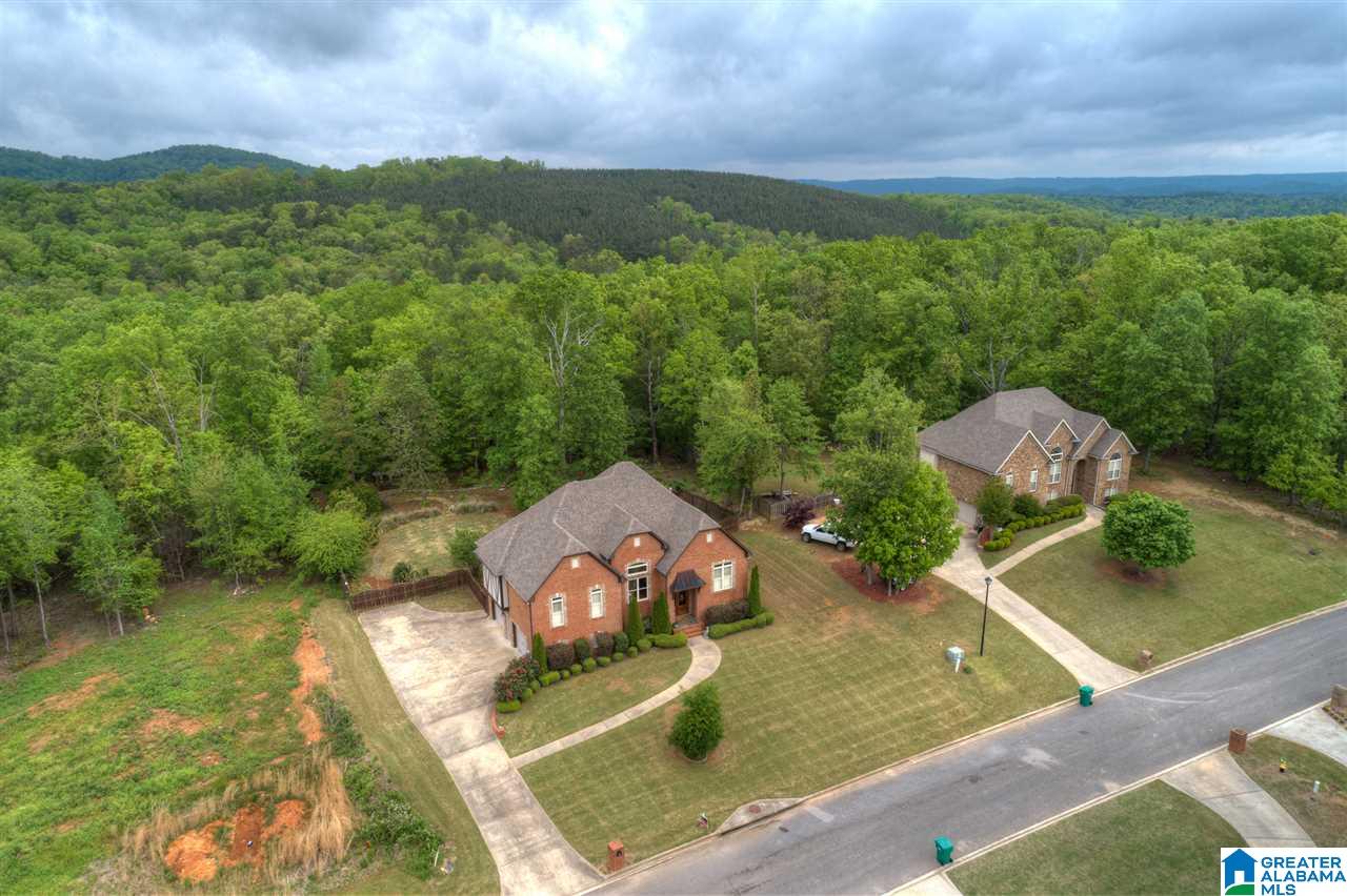 452 Ronny Lane Springville, AL 35146 - Photo 5 of 42