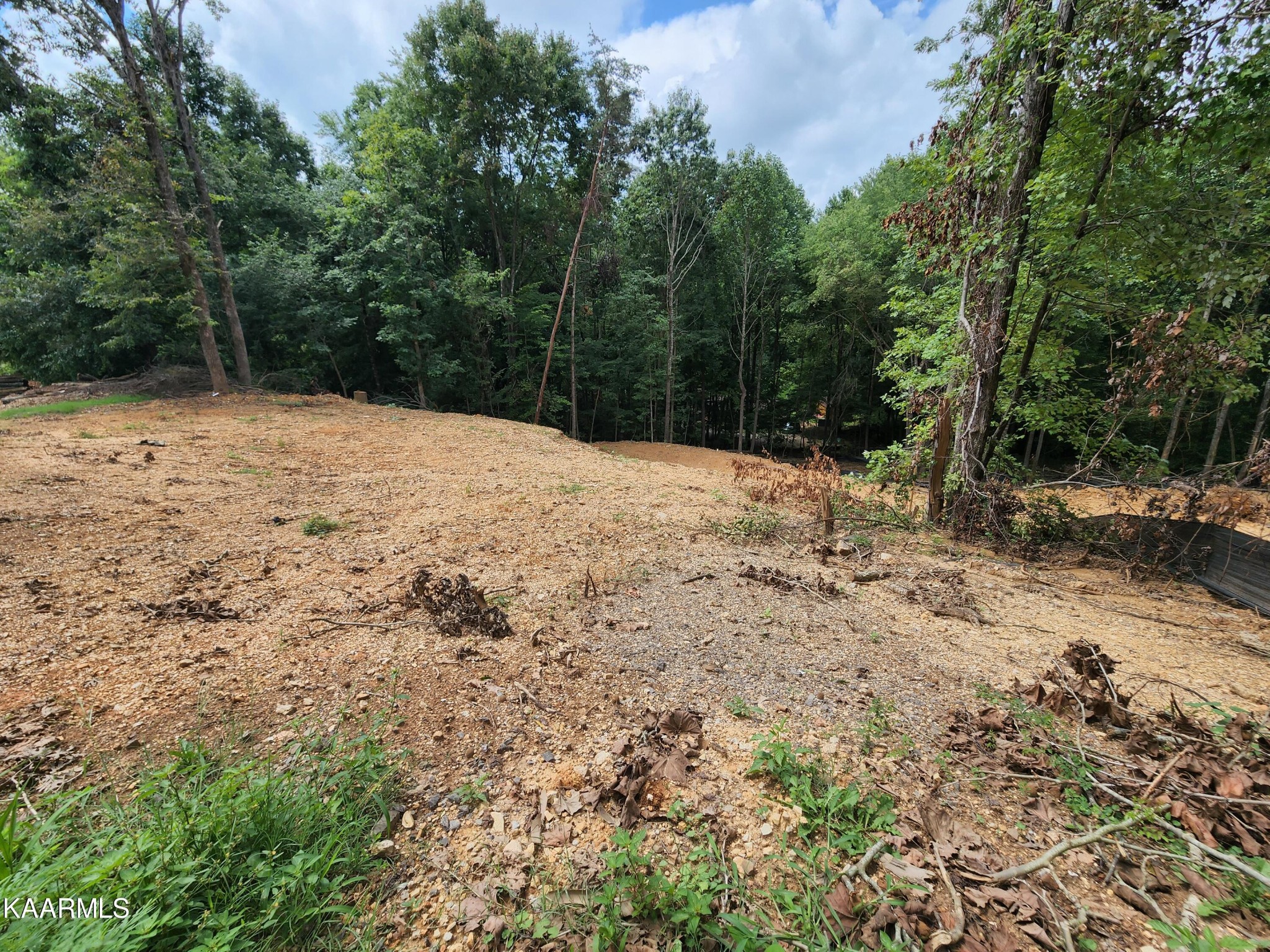 8217 Cricket Road Powell, TN 37849 - Photo 3 of 4 Gallery Image 3