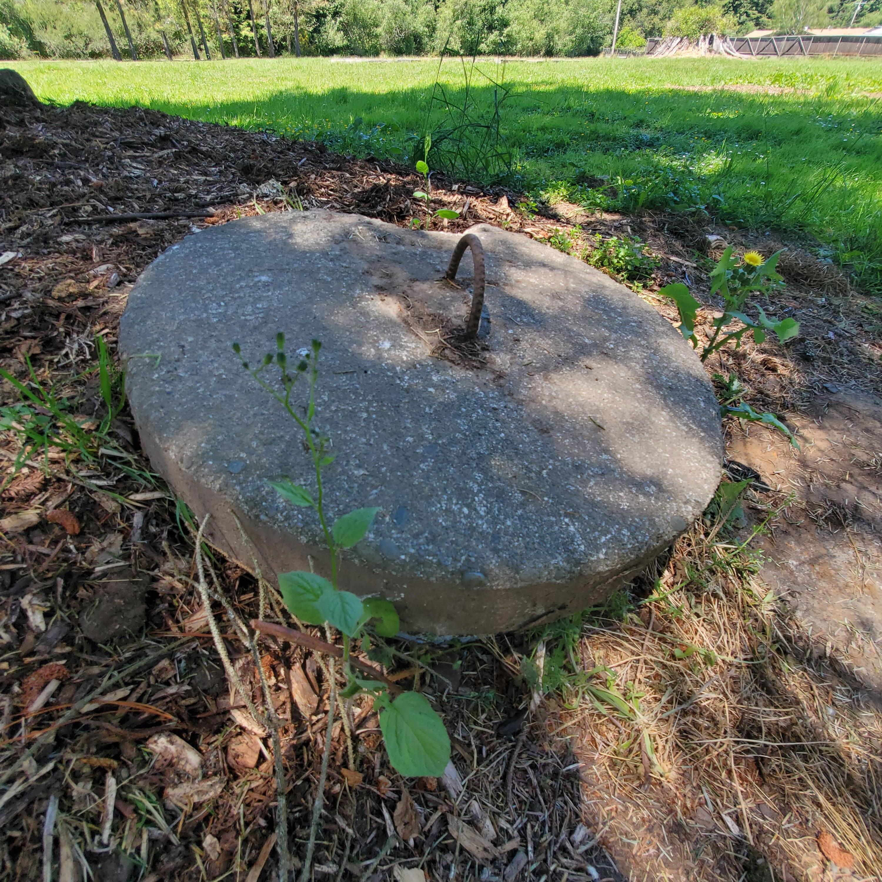209 Kingston Road Fieldbrook, CA 95519 - Photo 17 of 18 Well - 50 feet deep