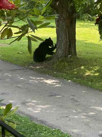 $759,000 | 704 Hillside Avenue, Berlin, NH 03570