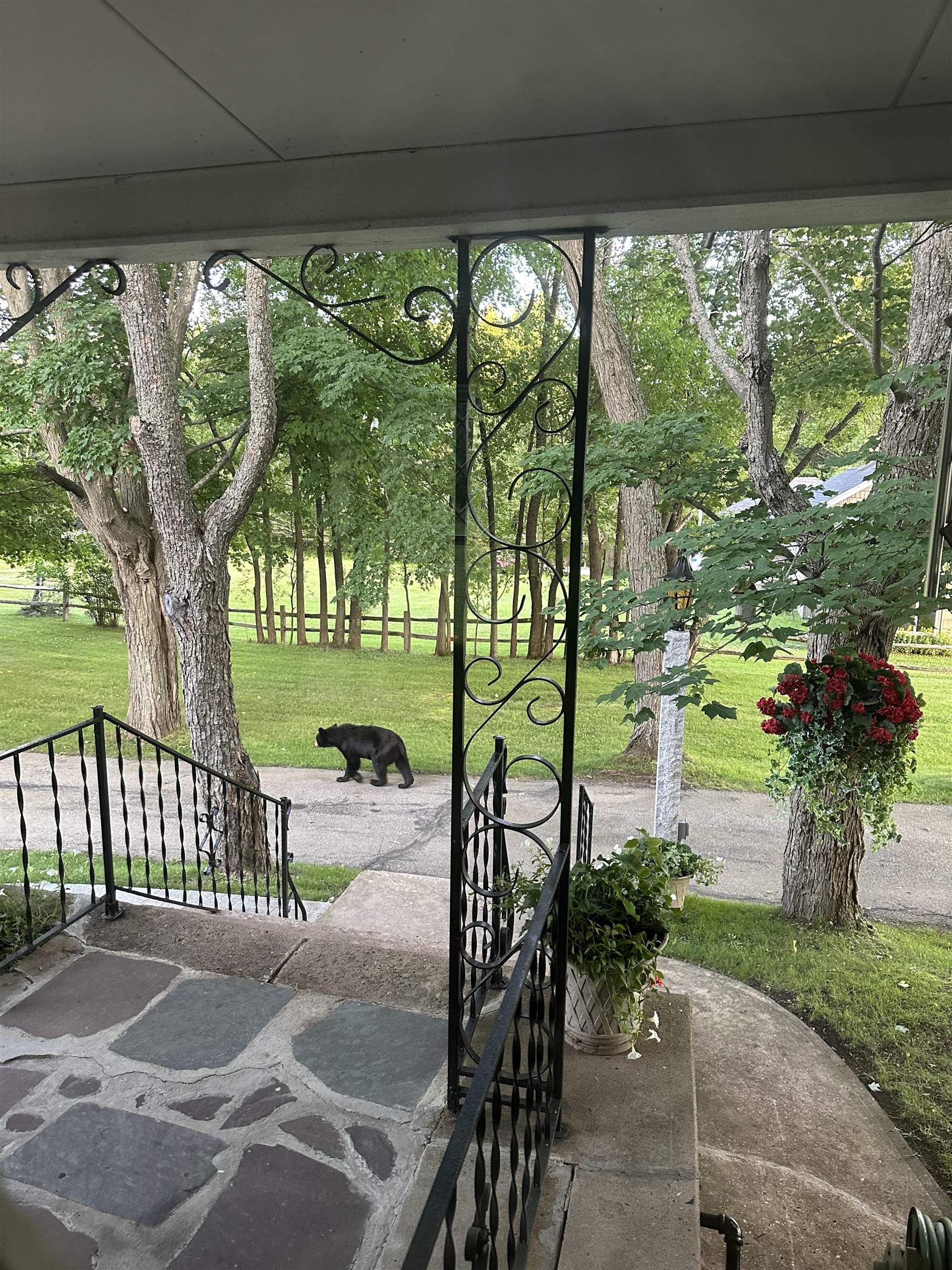 704 Hillside Avenue Berlin, NH 03570 - Photo 46 of 49