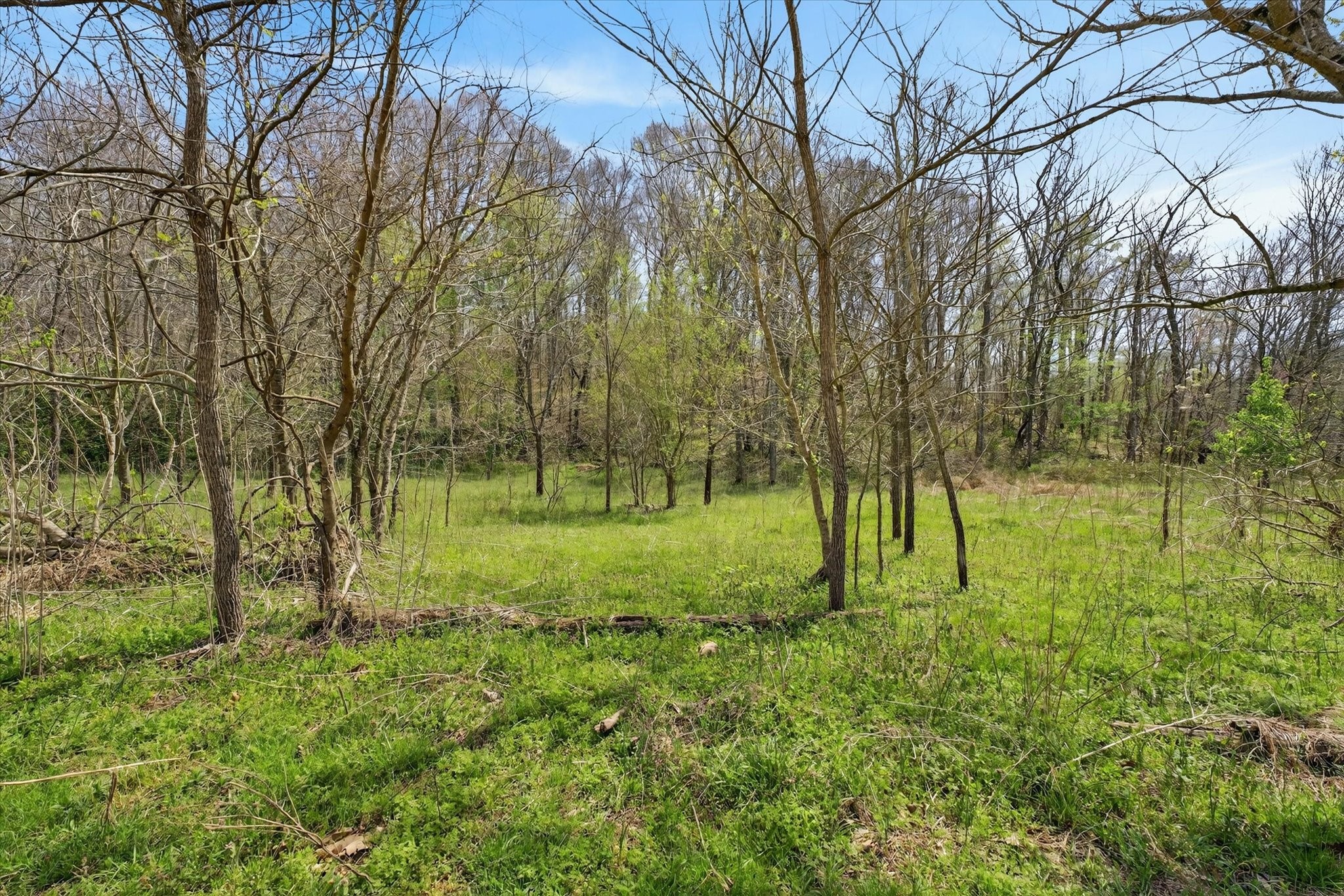0 Pumpkin Valley Road Indian Mound, TN 37079 - Photo 11 of 17