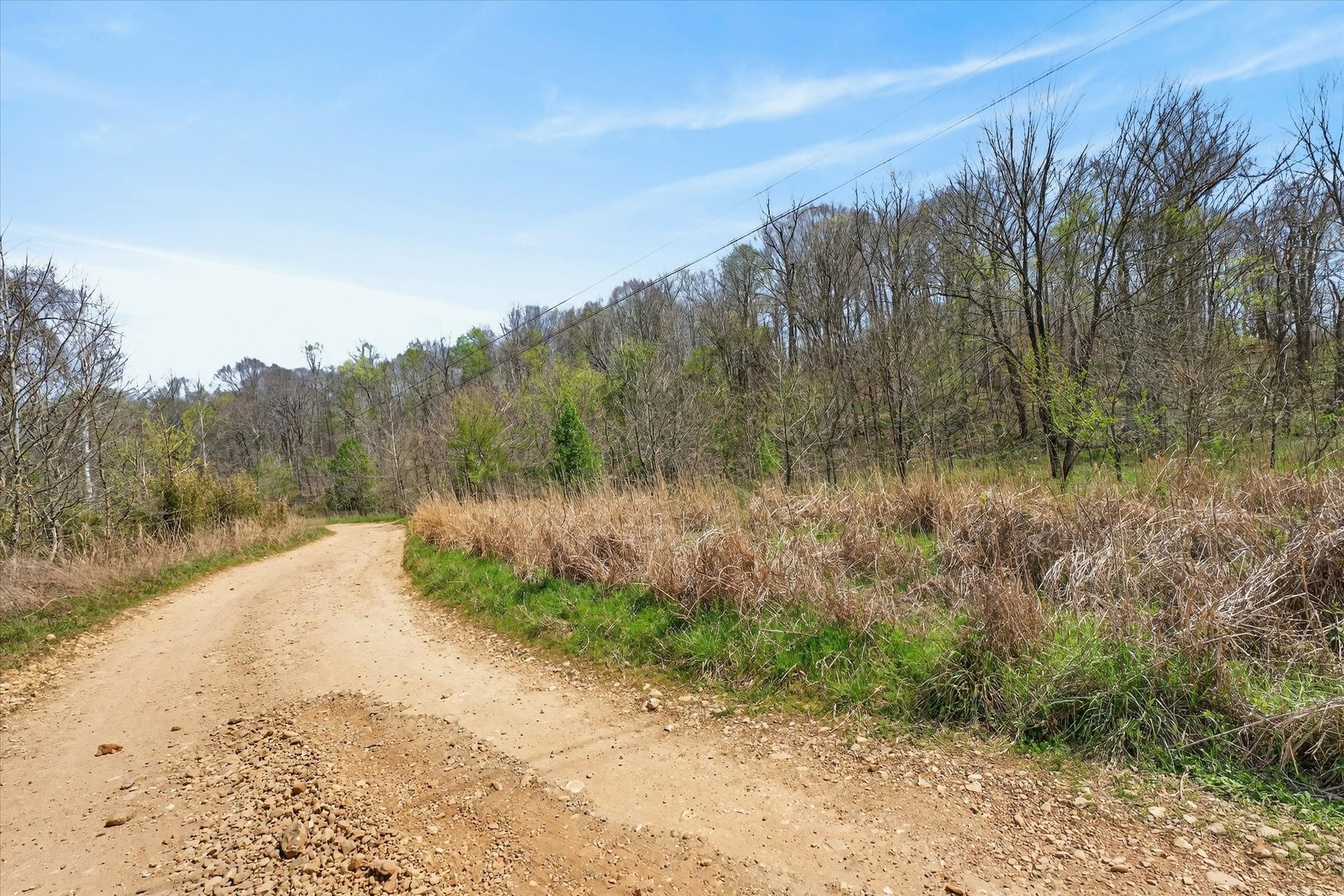 0 Pumpkin Valley Road Indian Mound, TN 37079 - Photo 12 of 17