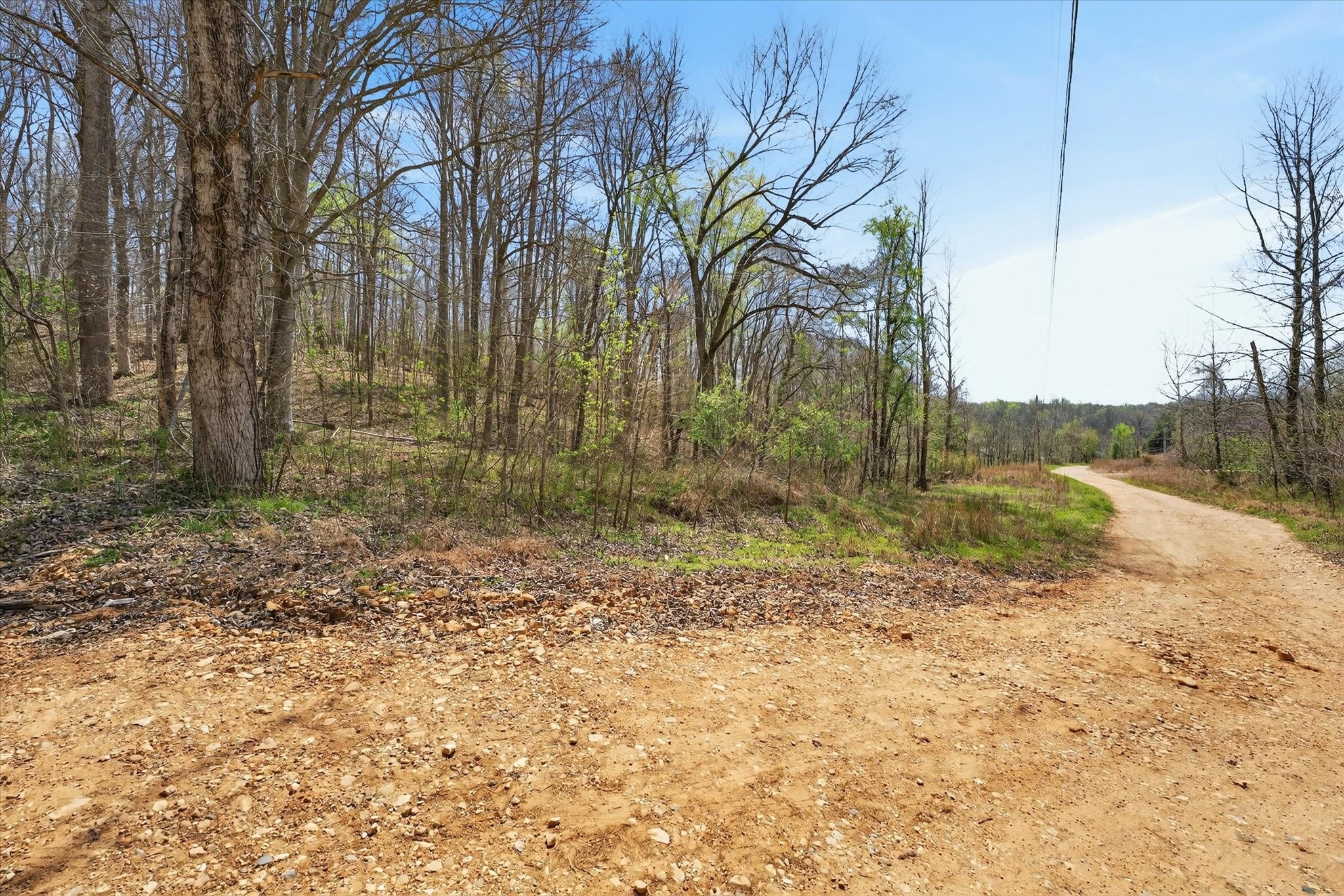 0 Pumpkin Valley Road Indian Mound, TN 37079 - Photo 14 of 17