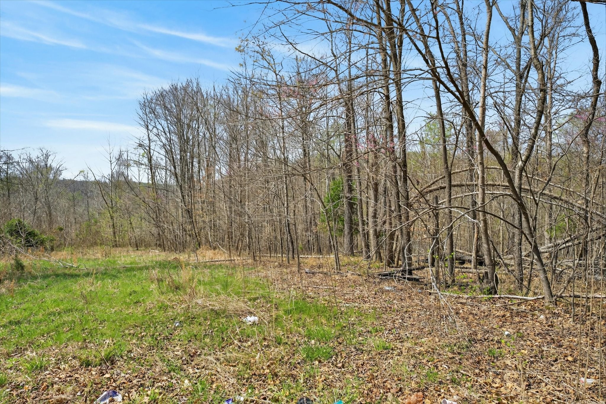 0 Pumpkin Valley Road Indian Mound, TN 37079 - Photo 15 of 17