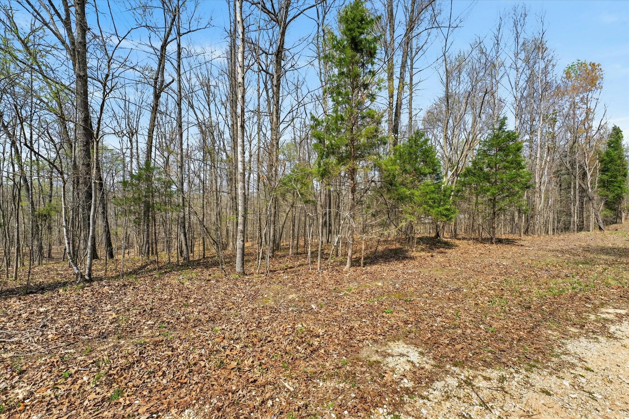 0 Pumpkin Valley Road Indian Mound, TN 37079 - Photo 16 of 17