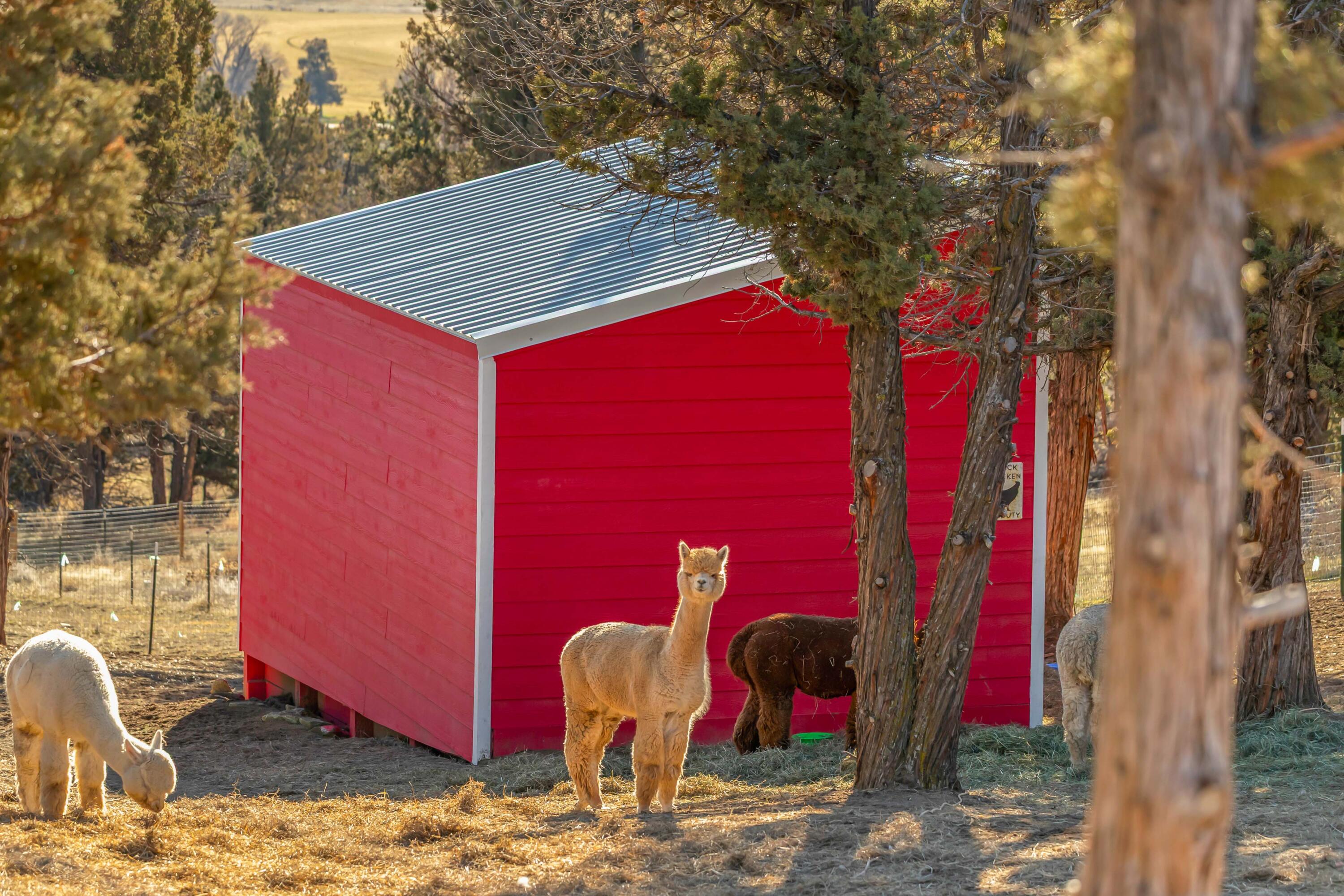 5582 North Mckay Road Prineville, OR 97754 - Photo 47 of 54 47