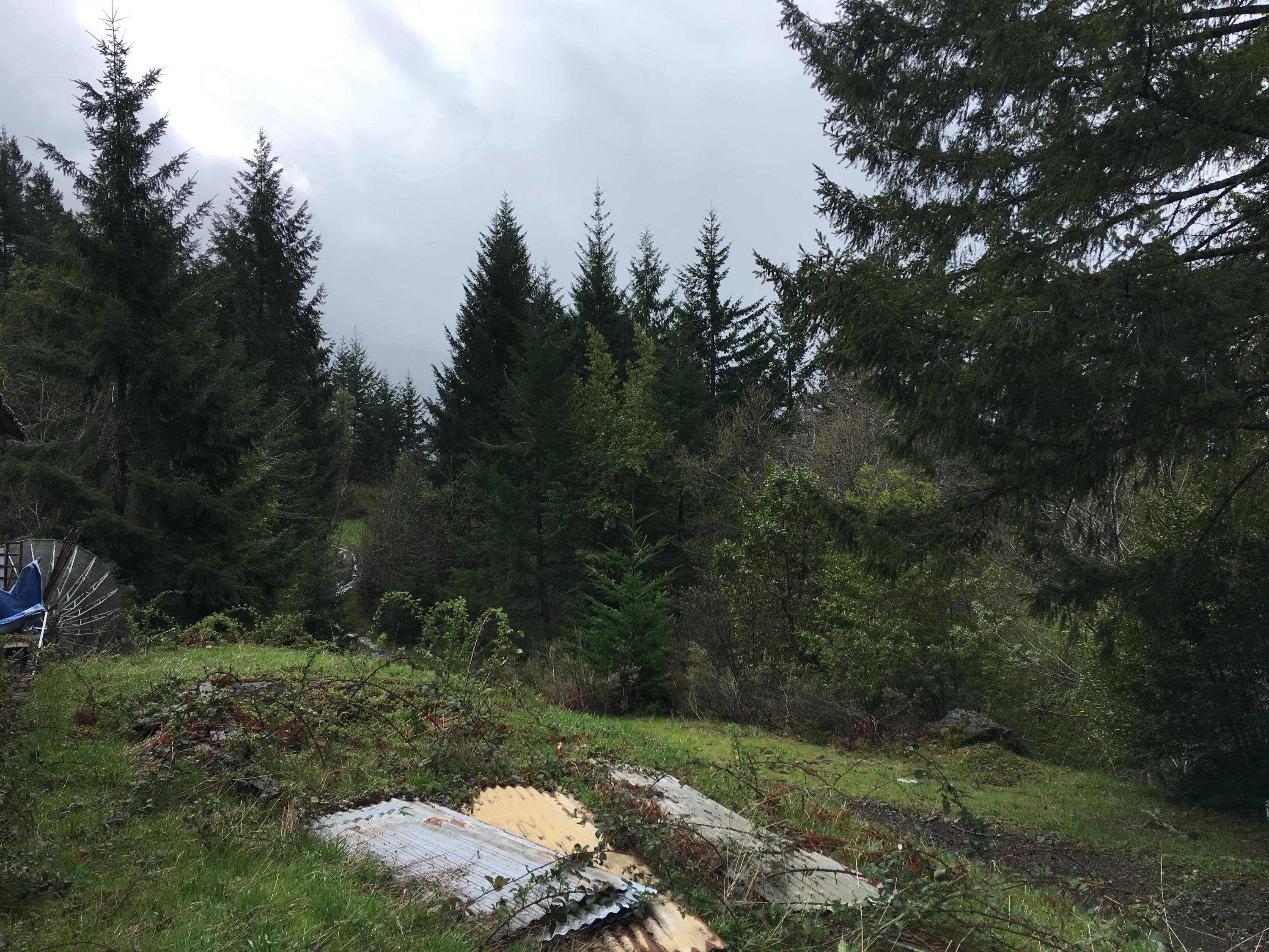 200 Acres Humbug Creek Road Arcata, CA 95521 - Photo 10 of 12