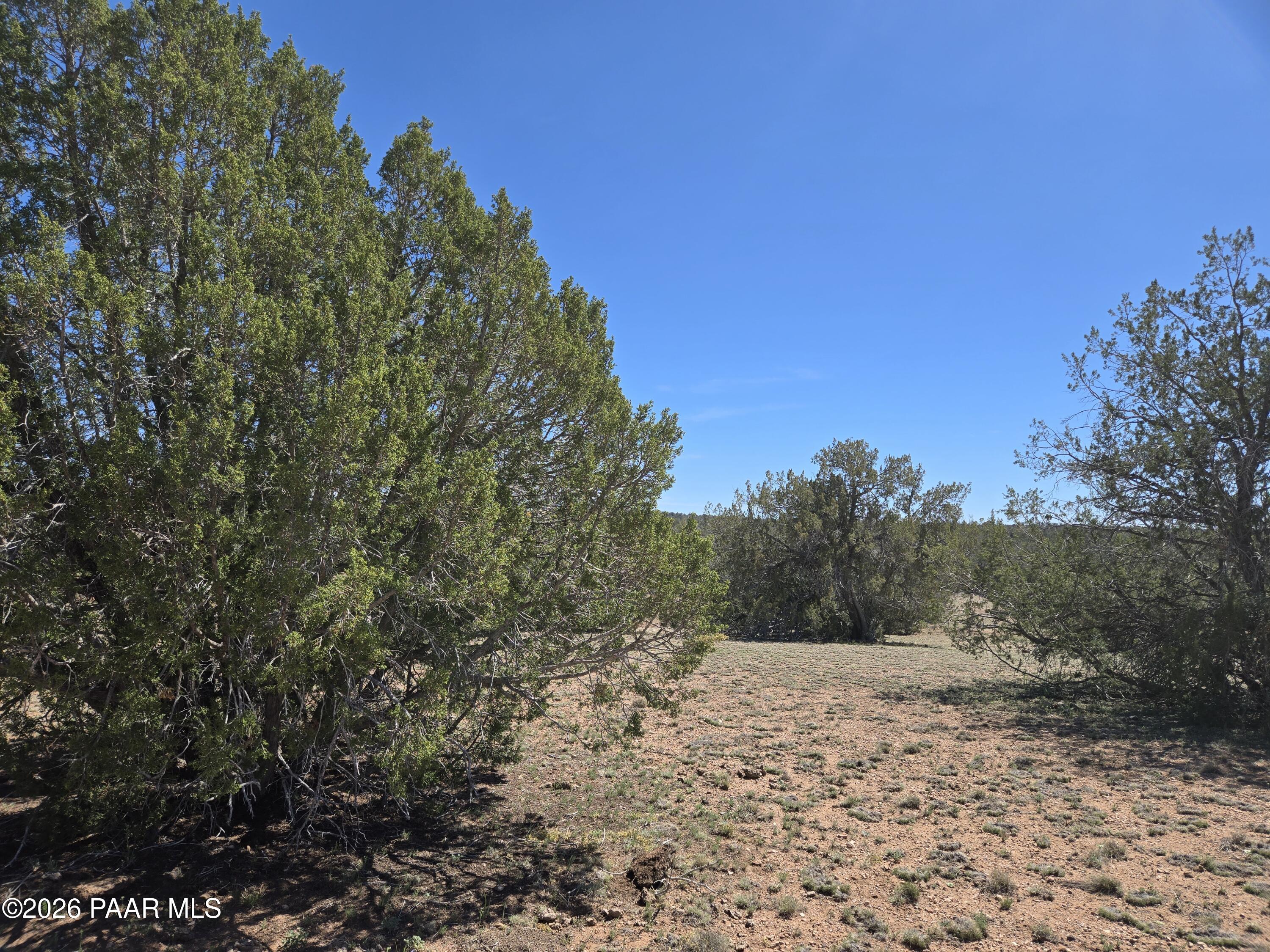 390 Haywire Road Ash Fork, AZ 86320 - Photo 9 of 15 20260323_122924