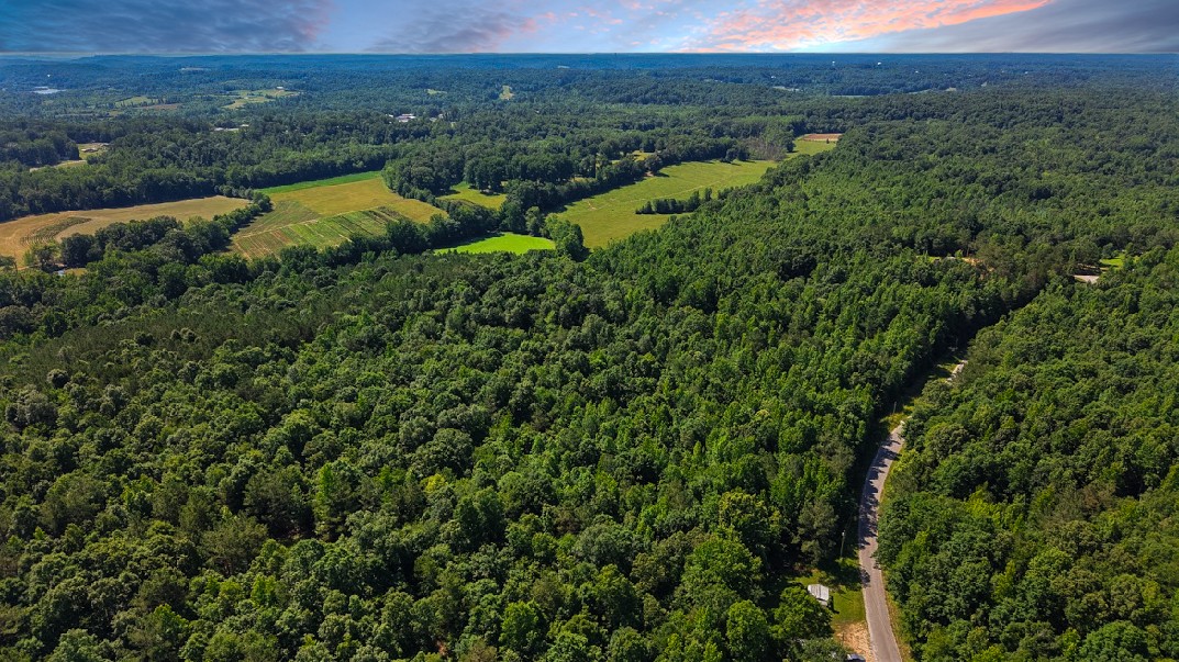 0 Beech Ridge Road Parsons, TN 38363 - Photo 13 of 14