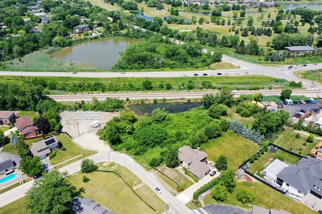 a view of a garden with a lot of flower and trees