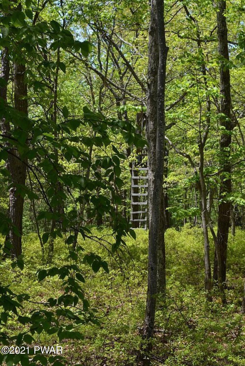 Lot 14 Little Walker Road Shohola, PA 18458 - Photo 6 of 13