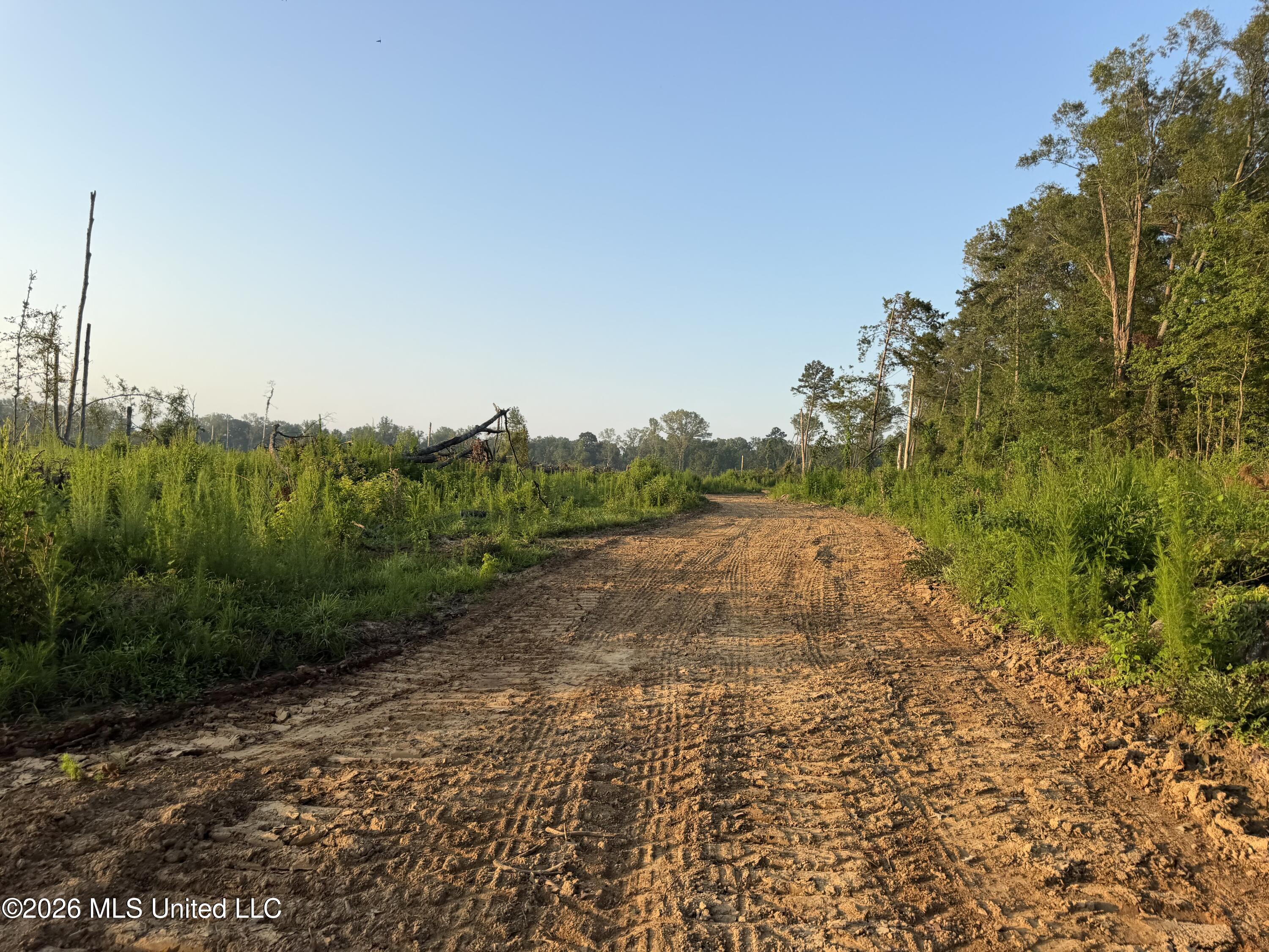 Carroll Rd Port Port Gibson, MS 39150 - Photo 11 of 24 Photo Jul 01 2026, 6 46 34 AM