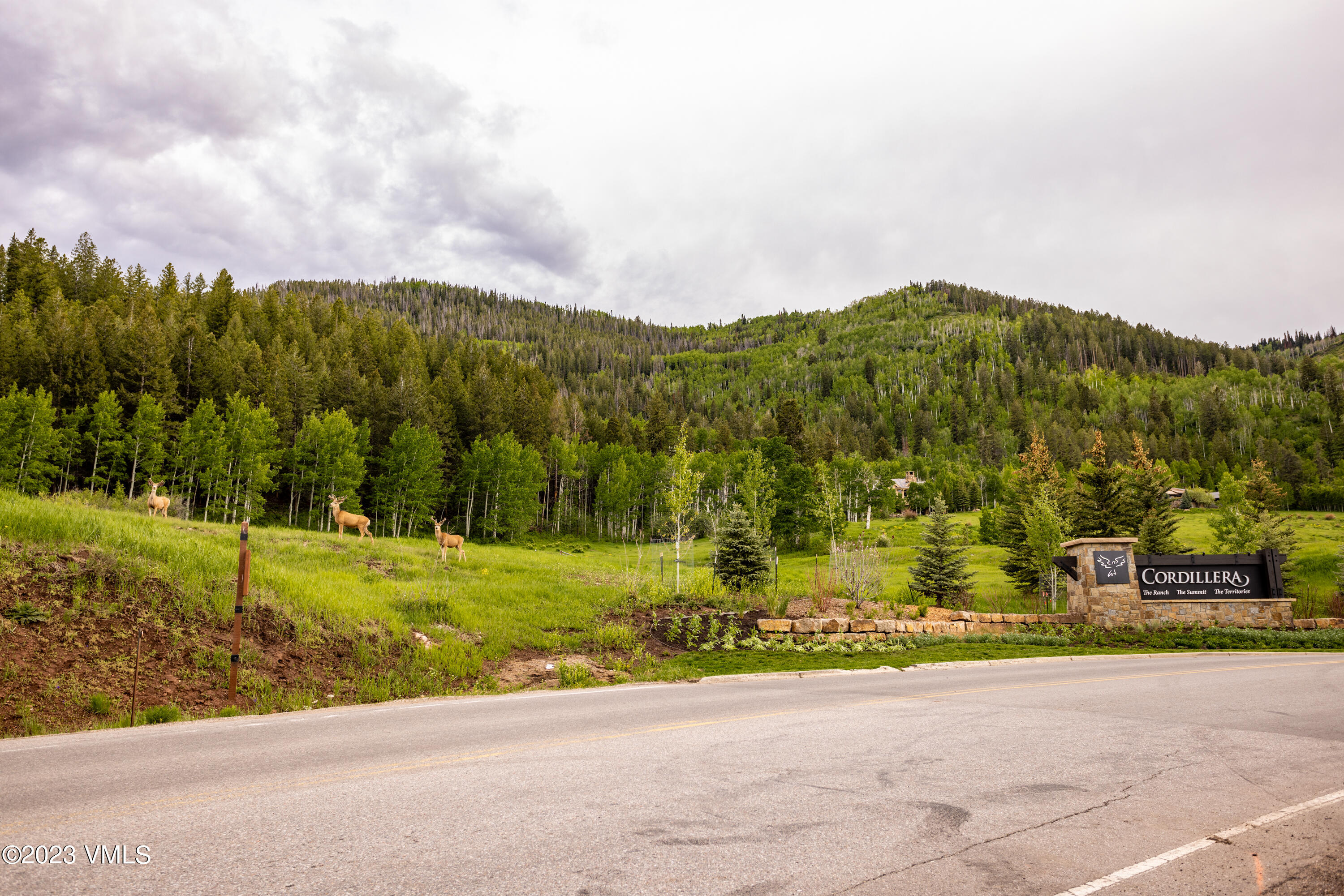 67 Cimarron Trail Edwards, CO 81632 - Photo 50 of 51 a view of a yard with an trees