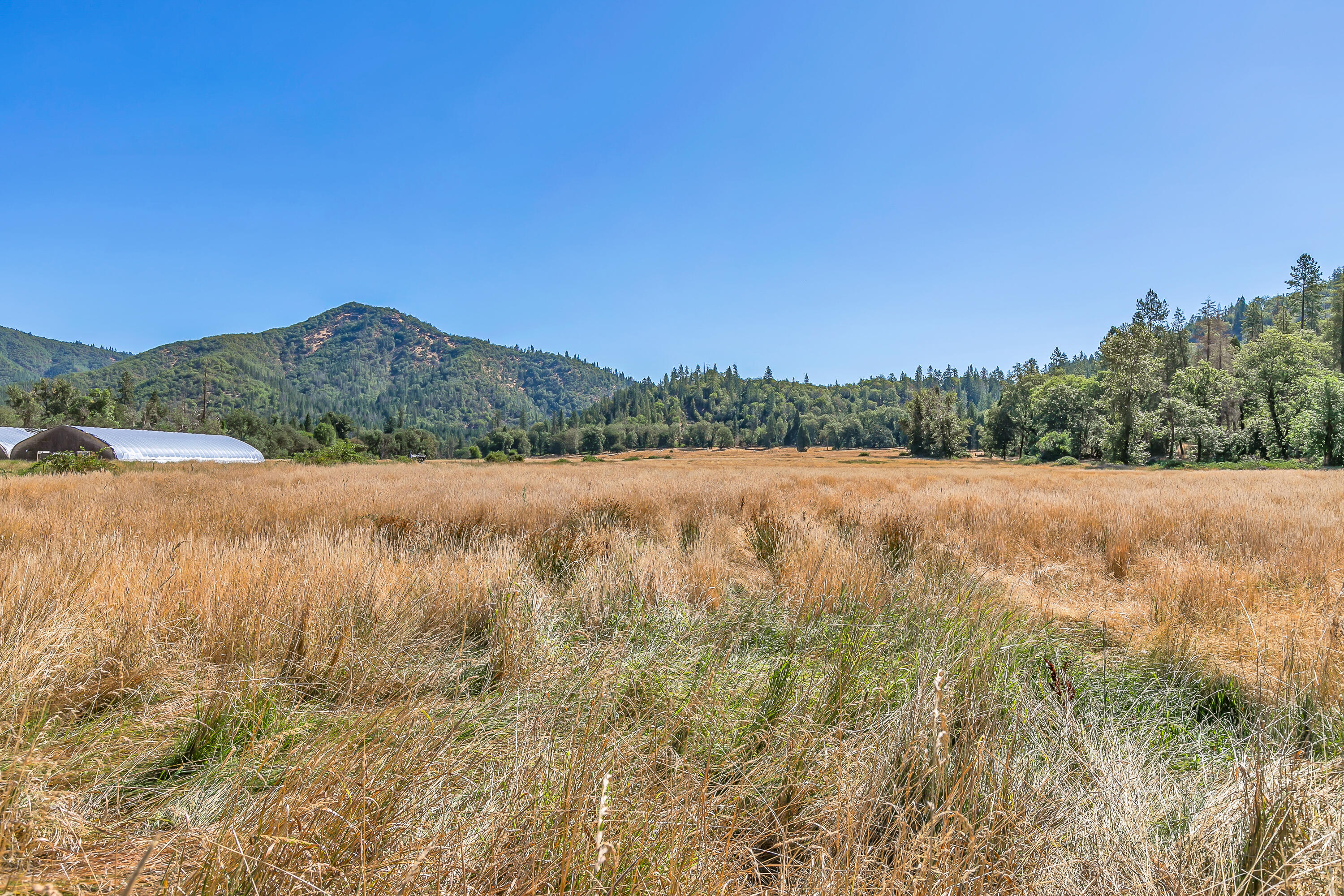 9820 East Evans Creek Road Rogue River, OR 97537 - Photo 22 of 58 9R9A5556