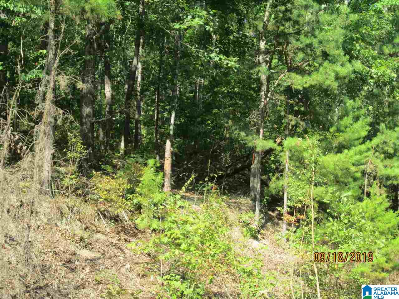 86 Red Valley Circle Remlap, AL 35133 - Photo 46 of 46