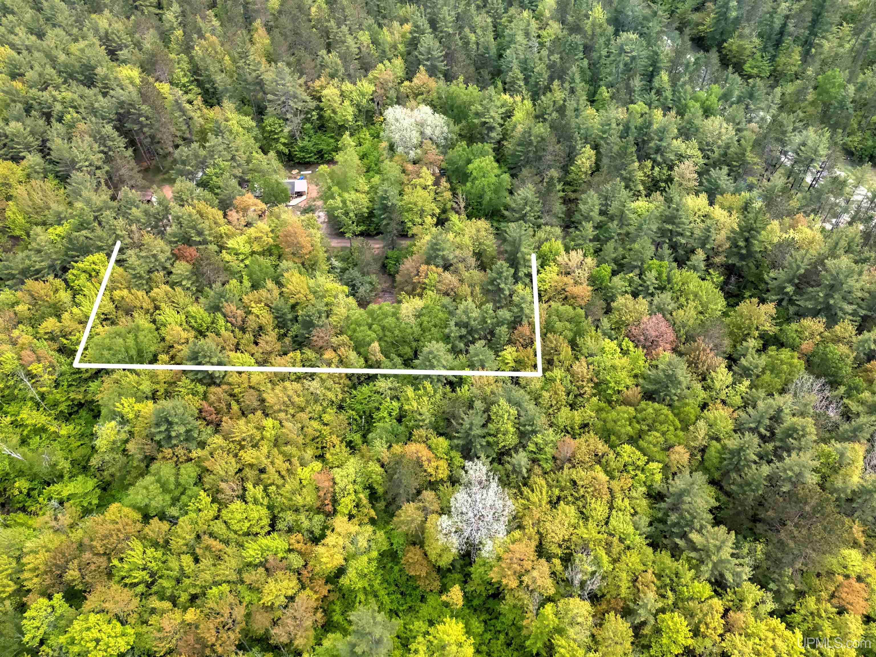 11042 West Lilly Lake Road Manistique, MI 49854 - Photo 5 of 12