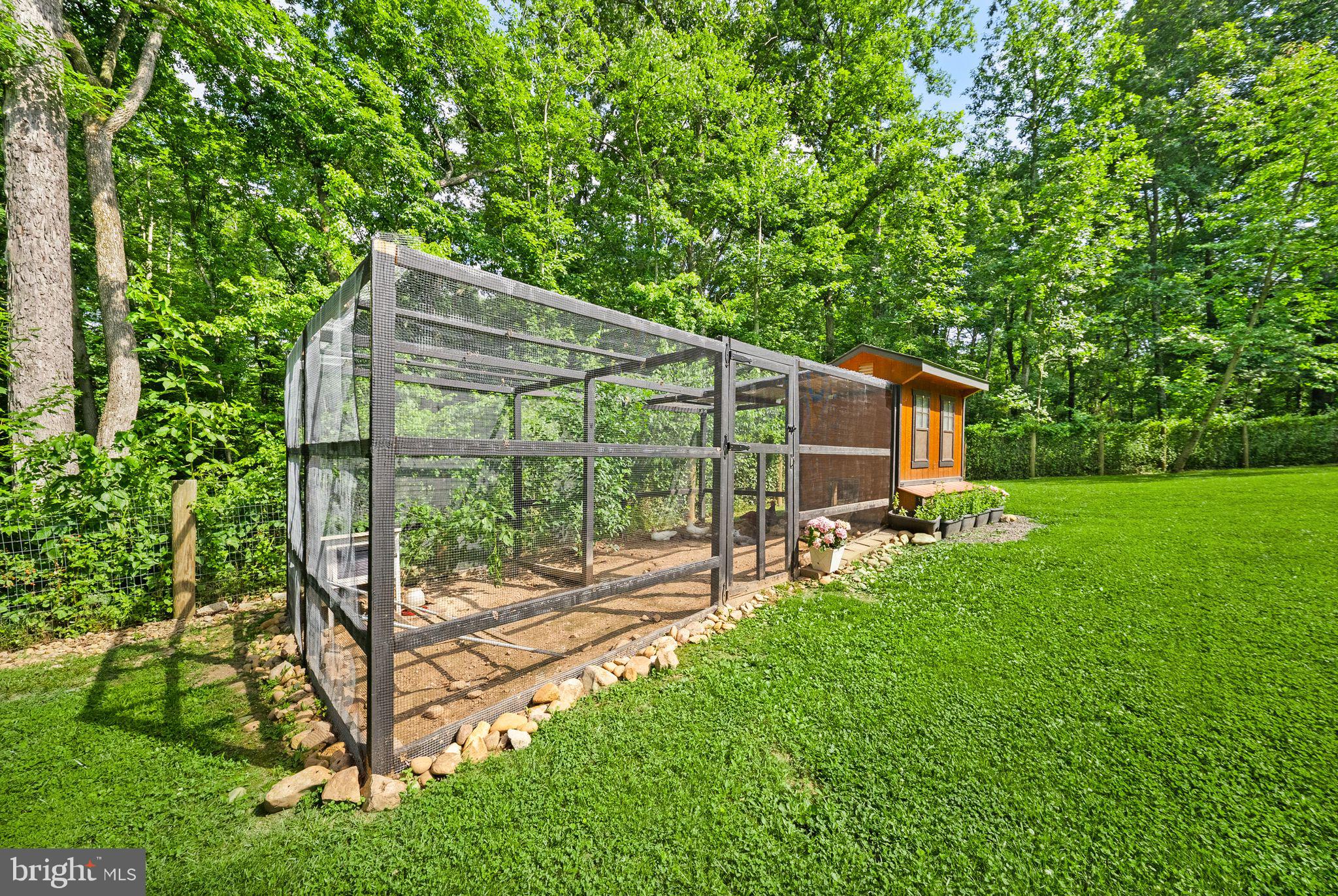 4020 Millwood Road Boyce, VA 22620 - Photo 88 of 132 Farm to table eggs and chicken.