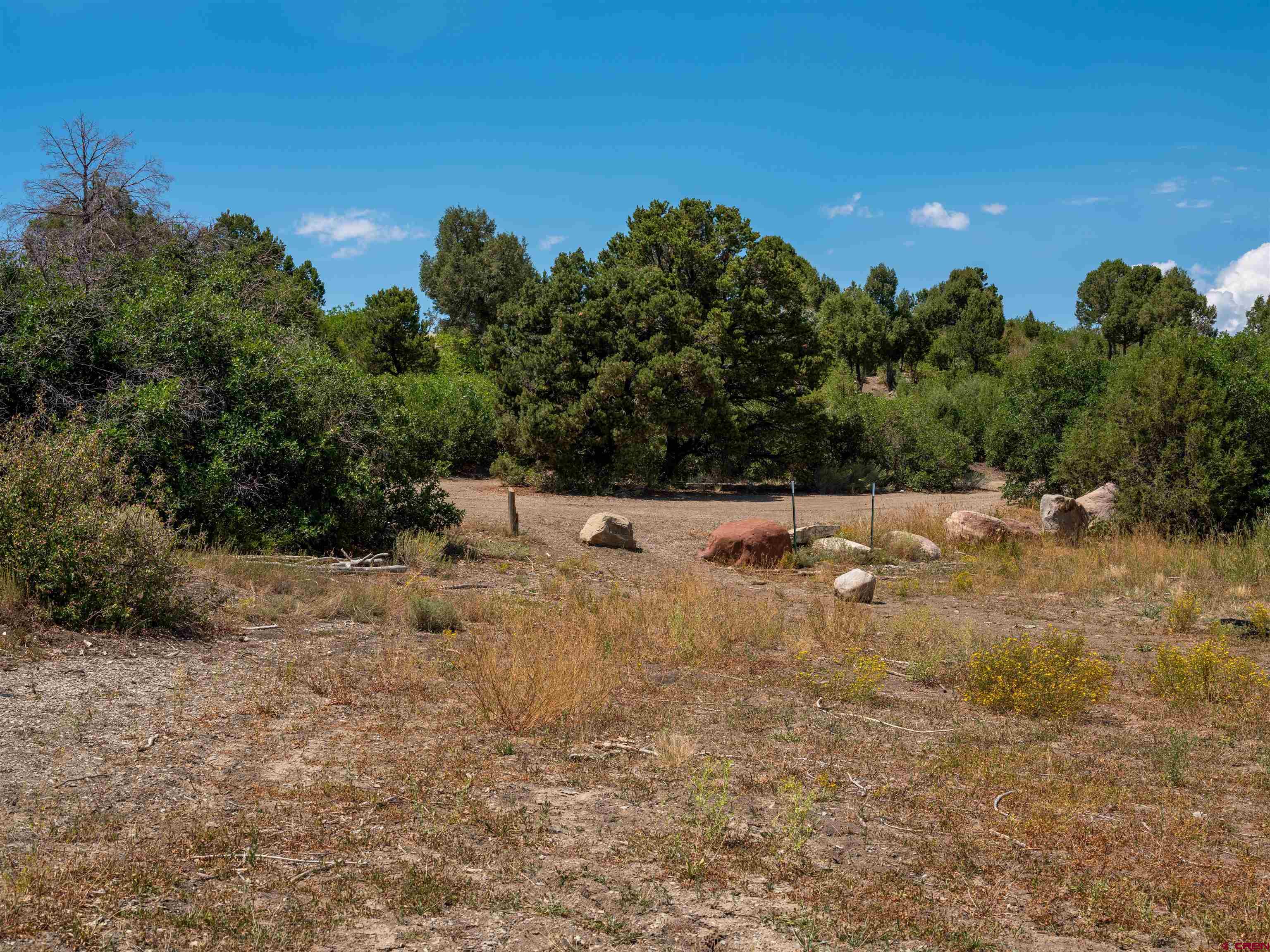 Lot 9 Road P2 Loop Mancos, CO 81328 - Photo 18 of 34 a view of a dry yard with large trees