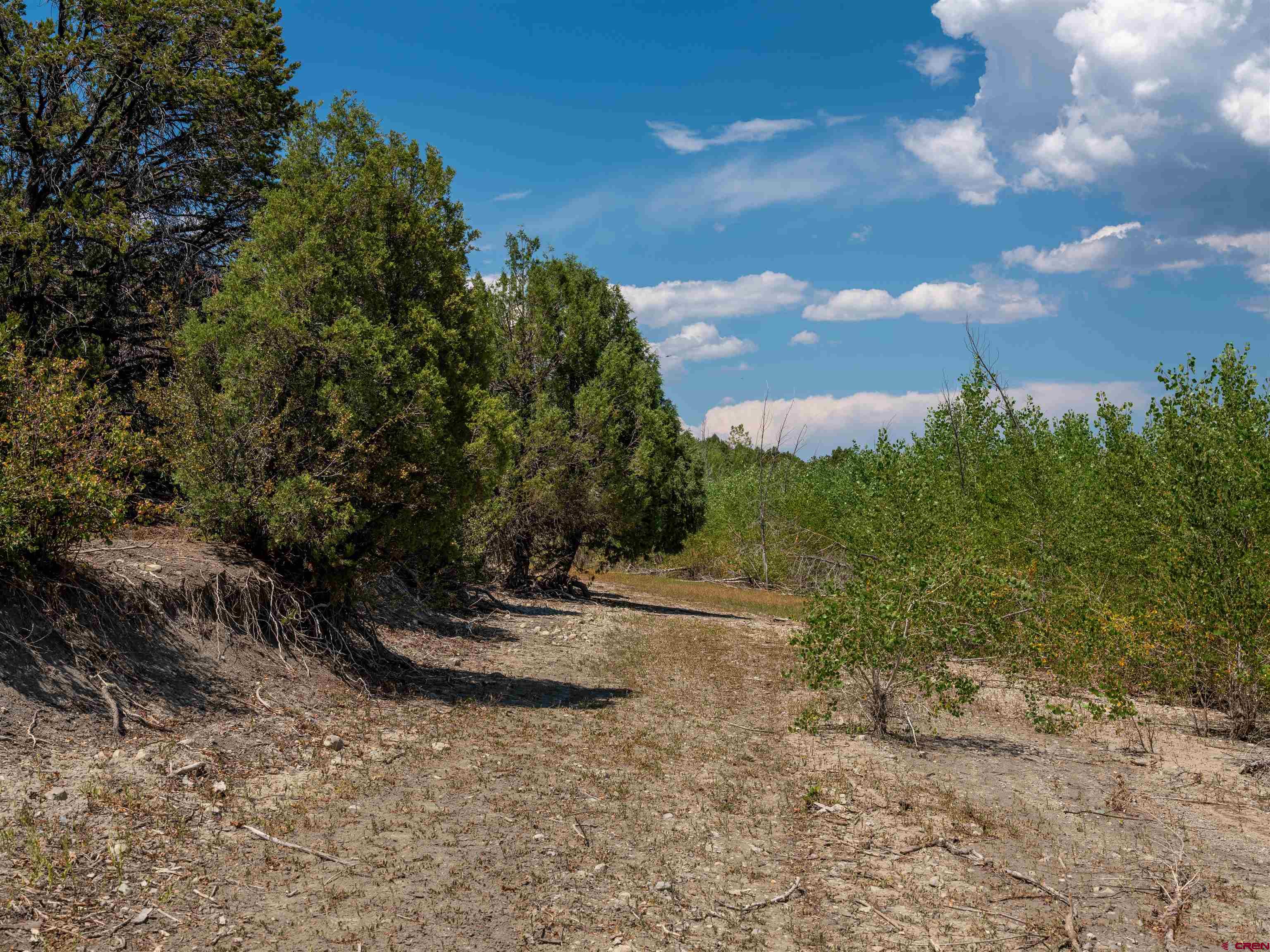 Lot 9 Road P2 Loop Mancos, CO 81328 - Photo 19 of 34 a view of a yard