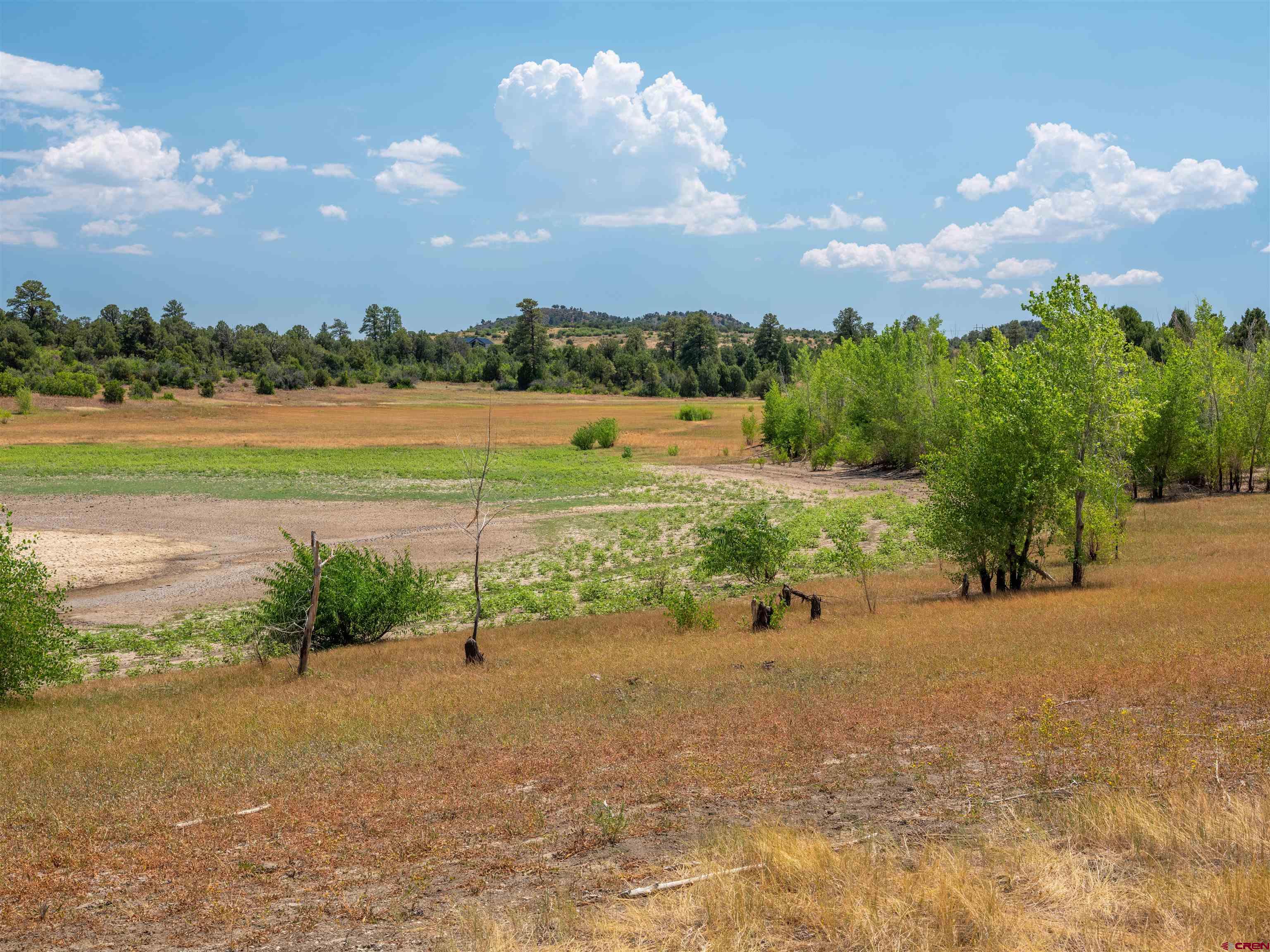 Lot 9 Road P2 Loop Mancos, CO 81328 - Photo 20 of 34 a view of a lake