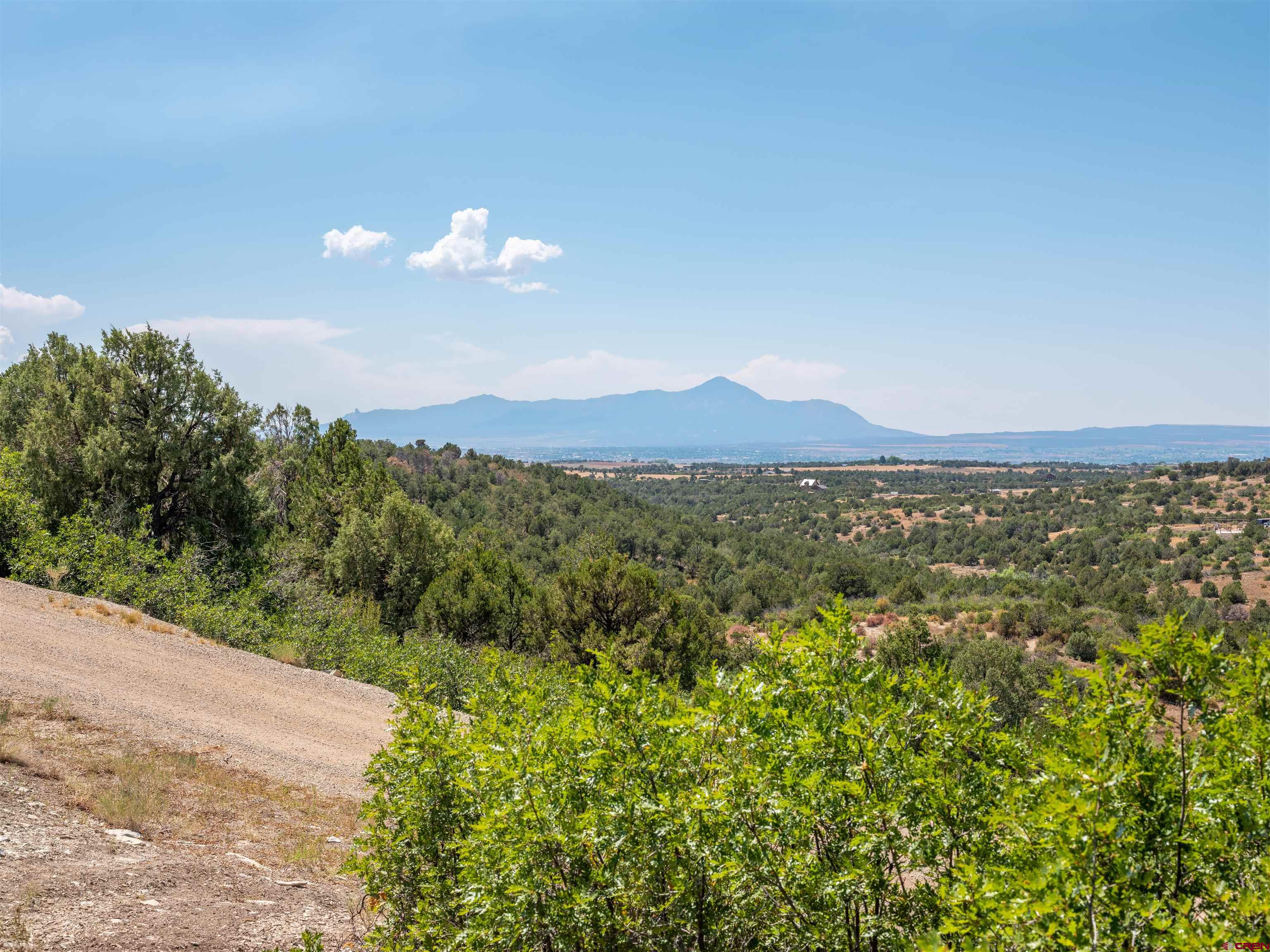 Lot 9 Road P2 Loop Mancos, CO 81328 - Photo 25 of 34 a view of a city with lush green forest