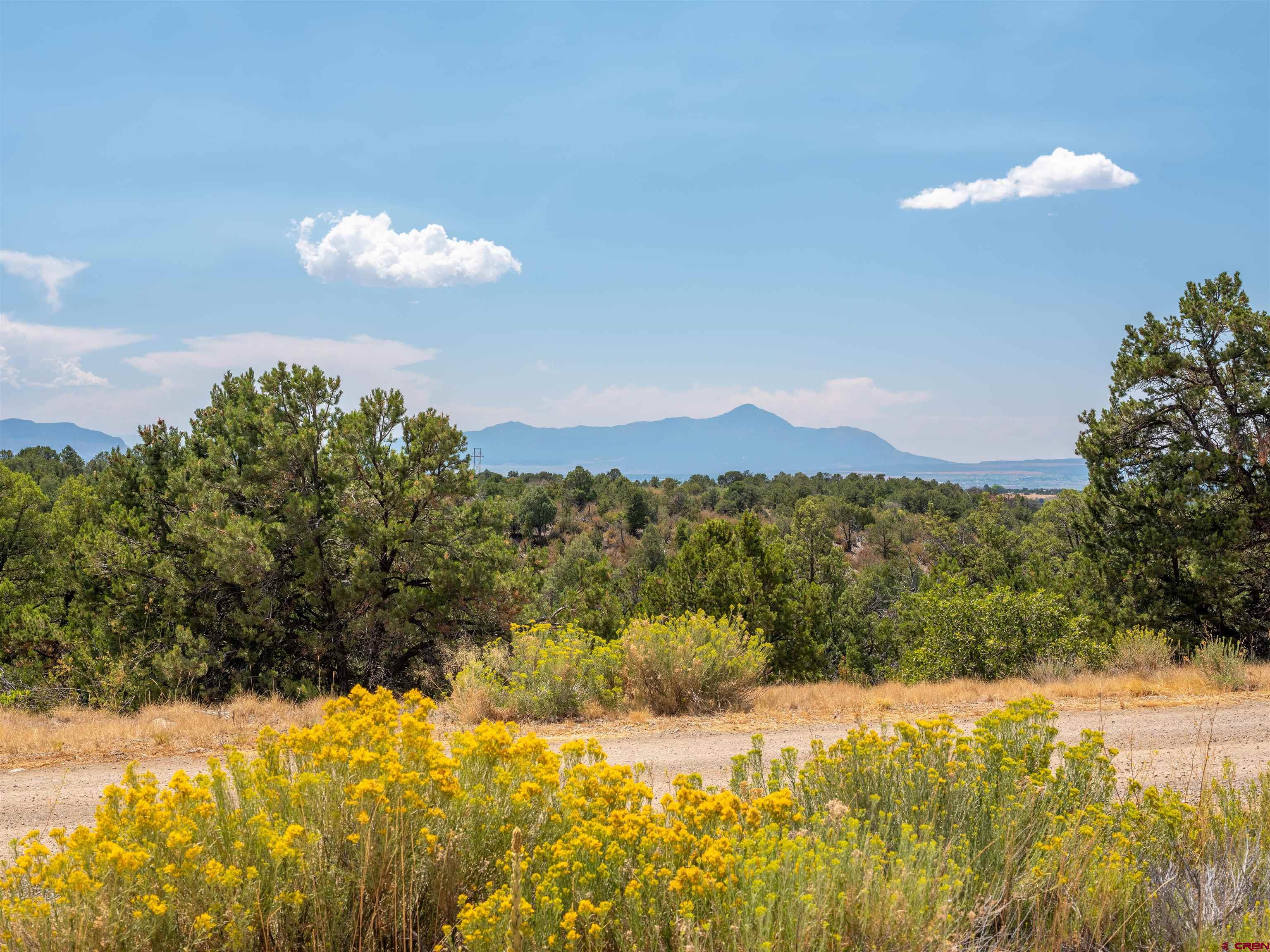Lot 9 Road P2 Loop Mancos, CO 81328 - Photo 27 of 34 a view of lake view and mountain view