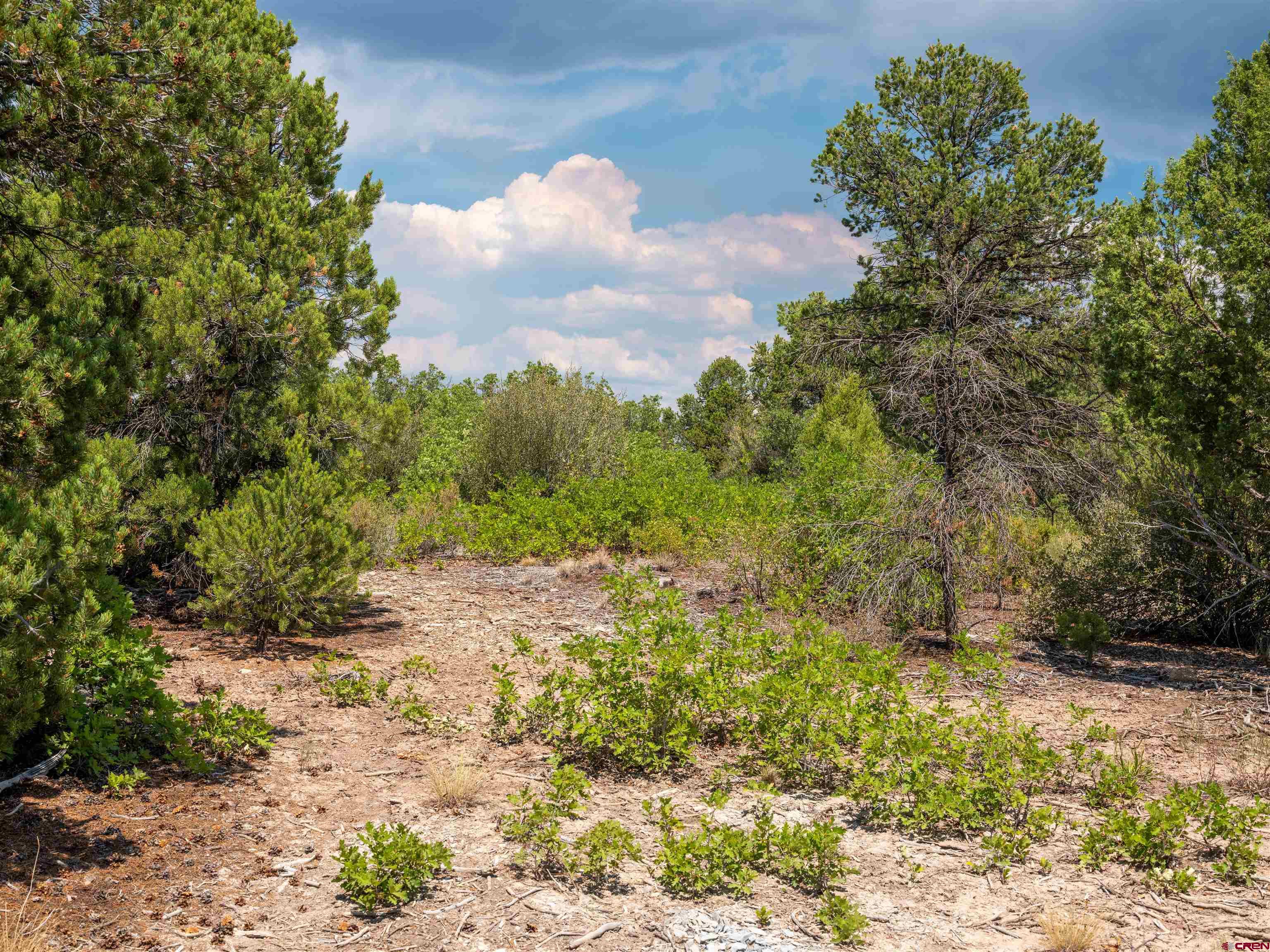 Lot 9 Road P2 Loop Mancos, CO 81328 - Photo 28 of 34 a view of a pathway both side of yard