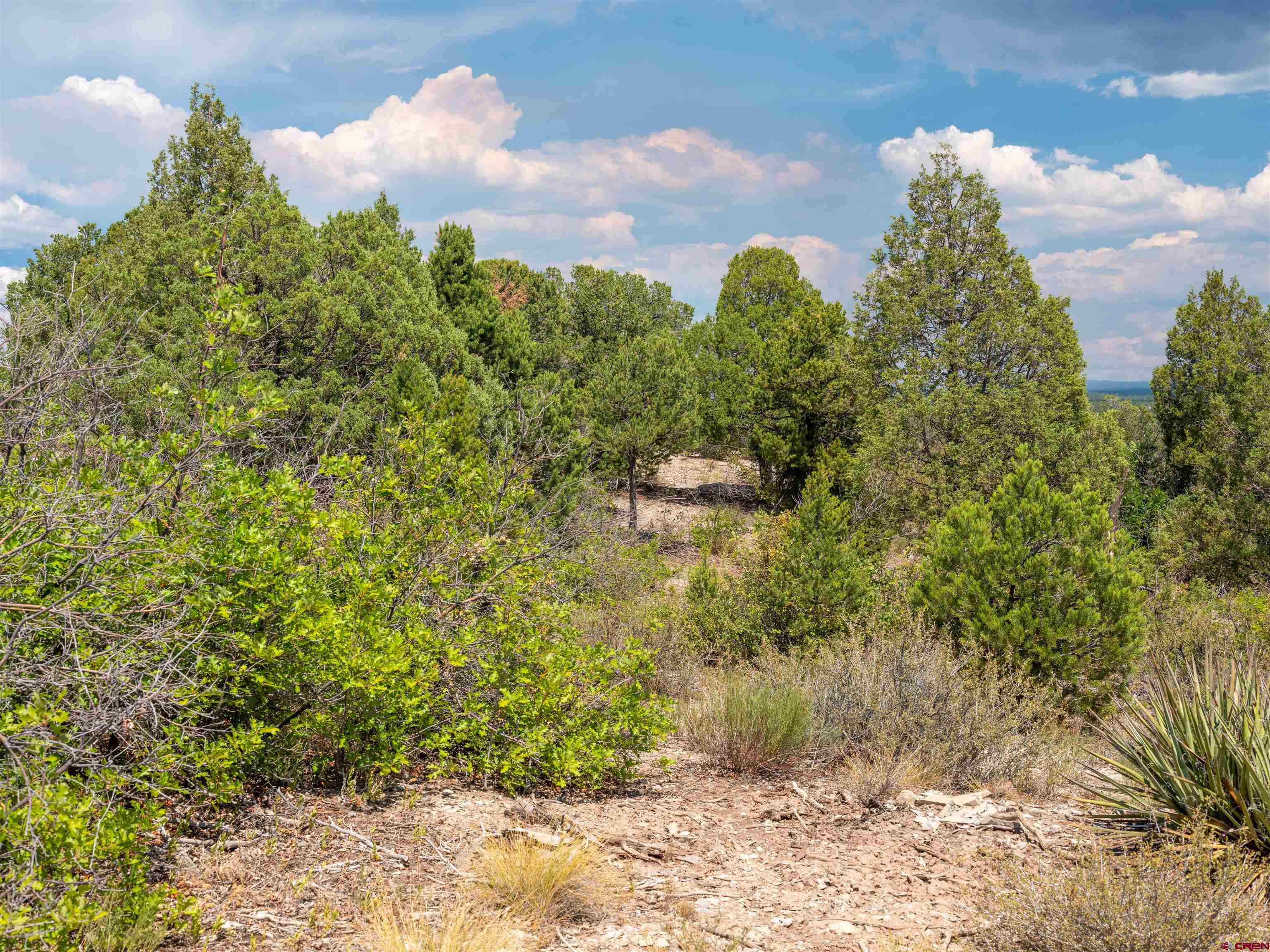 Lot 9 Road P2 Loop Mancos, CO 81328 - Photo 29 of 34