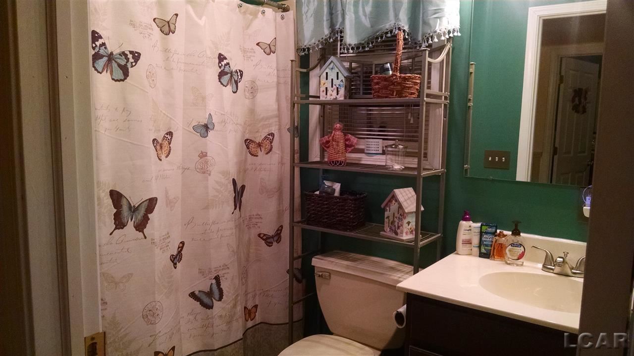 10702 Braun Road Manchester, MI 48158 - Photo 15 of 19